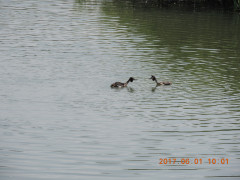 DSCN0099.JPG