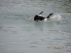 DSCN0100.JPG