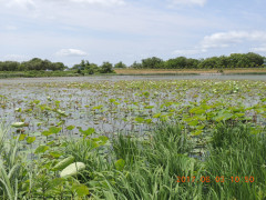 DSCN9988.JPG