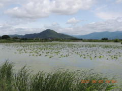DSCN9990.JPG