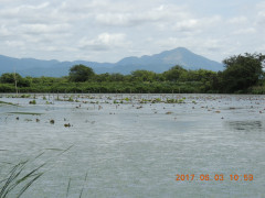 DSCN9995.JPG