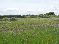 DSCN9996.JPG