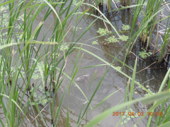 DSCN9993.JPG