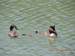 DSCN0052.JPG