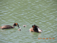 DSCN0056.JPG
