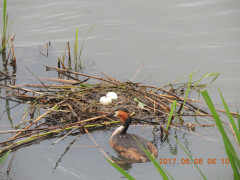 DSCN9929.JPG
