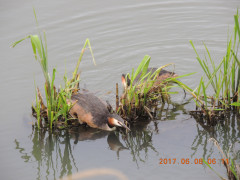 DSCN9932.JPG