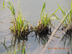 DSCN9961.JPG