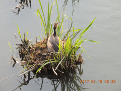 DSCN9962.JPG