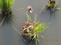 DSCN9963.JPG