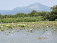 DSCN9920.JPG