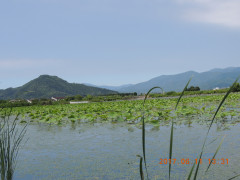 DSCN9921.JPG