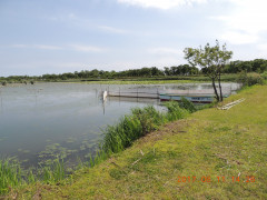 DSCN9936.JPG
