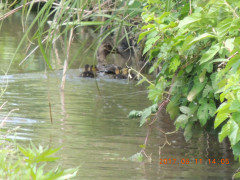 DSCN9931.JPG