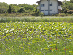 DSCN9944.JPG