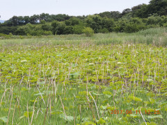 DSCN9919.JPG