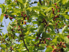DSCN9948.JPG