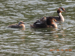 DSCN9909.JPG