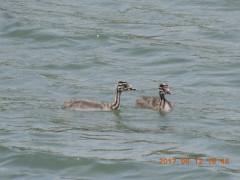 DSCN0009.JPG
