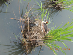 DSCN0012.JPG