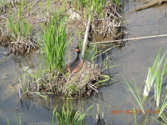 DSCN0015.JPG