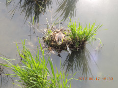 DSCN0016.JPG