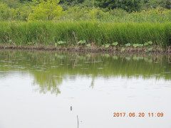 DSCN9983.JPG