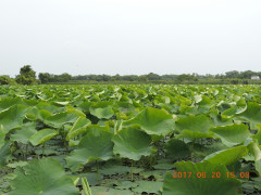 DSCN9986.JPG