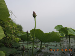 DSCN9991.JPG