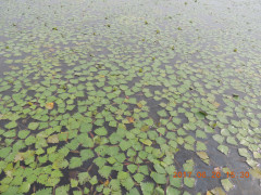 DSCN9992.JPG