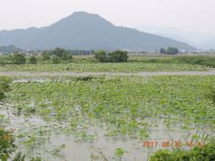 DSCN9993.JPG