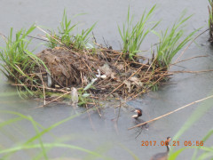 DSCN0002.JPG