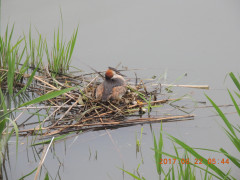DSCN0012.JPG