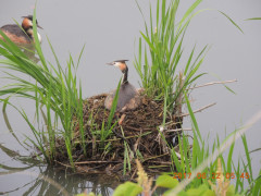 DSCN0014.JPG