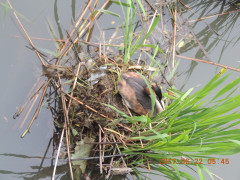 DSCN0015.JPG