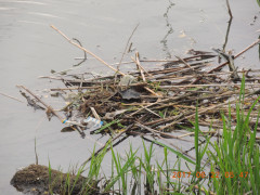 DSCN0016.JPG
