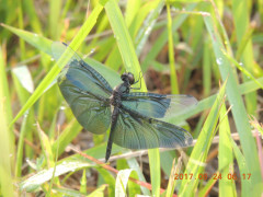 DSCN9915.JPG