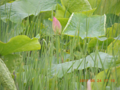 DSCN9970.JPG