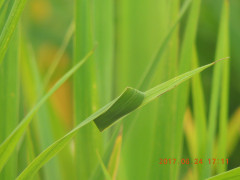 DSCN9972.JPG