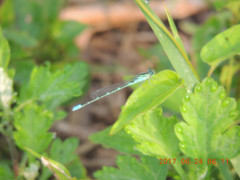 DSCN9908.JPG