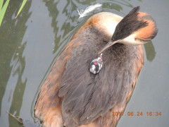 DSCN9954.JPG