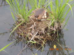 DSCN9957.JPG