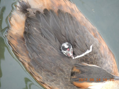 DSCN9953.JPG