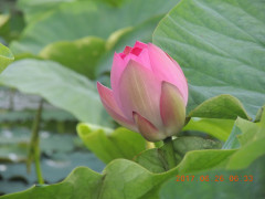 DSCN9990.JPG