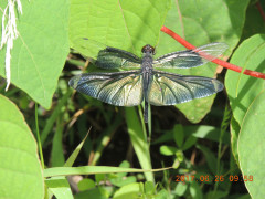 DSCN0030.JPG