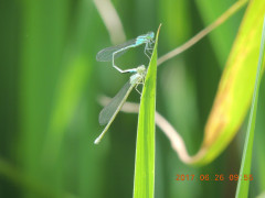DSCN0024.JPG