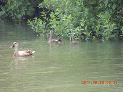 DSCN0011.JPG