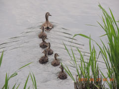 DSCN9905.JPG