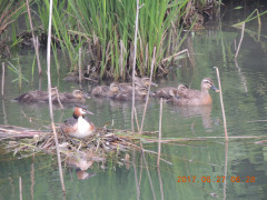 DSCN9952.JPG