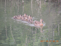 DSCN9955.JPG